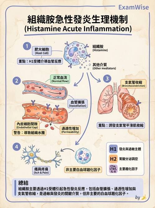 醫檢師 - 細胞傷害、發炎與修復 - AI 圖文解析預覽
