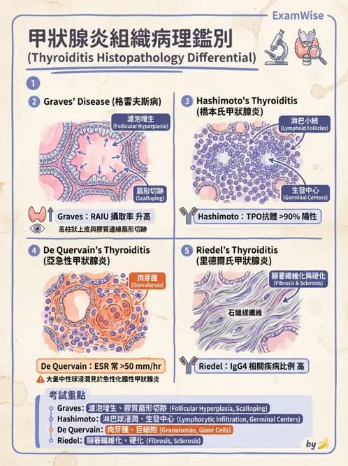 醫檢師 - 內分泌疾病 - AI 圖文解析預覽