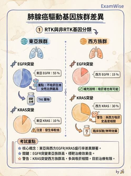 醫檢師 - 呼吸系統疾病 - AI 圖文解析預覽