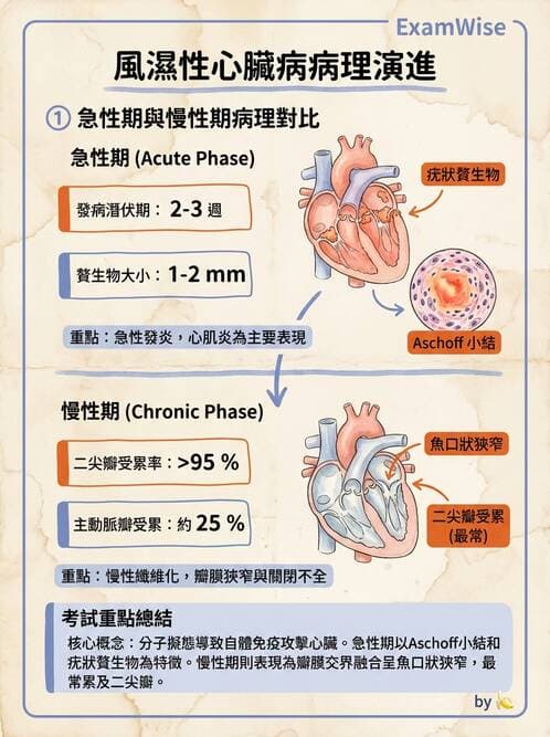 醫檢師 - 心血管疾病 - AI 圖文解析預覽