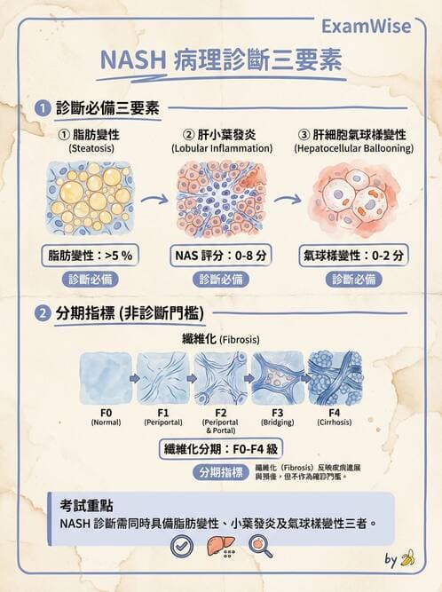 醫檢師 - 消化肝膽疾病 - AI 圖文解析預覽