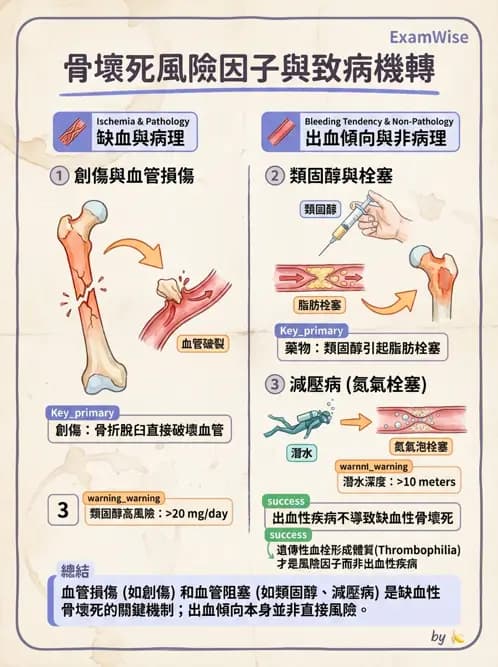 醫檢師 - 骨骼及軟組織疾病 - AI 圖文解析預覽