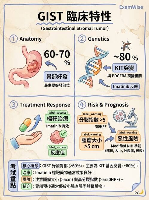 醫檢師 - 消化肝膽疾病 - AI 圖文解析預覽