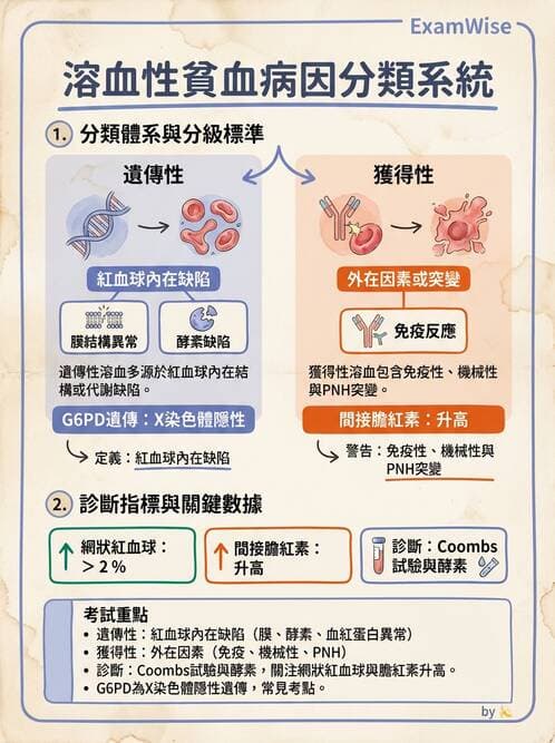 醫檢師 - 溶血性貧血與血色素病變 - AI 圖文解析預覽