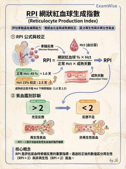 醫檢師 - 紅血球生理與形態 - AI 圖文解析預覽