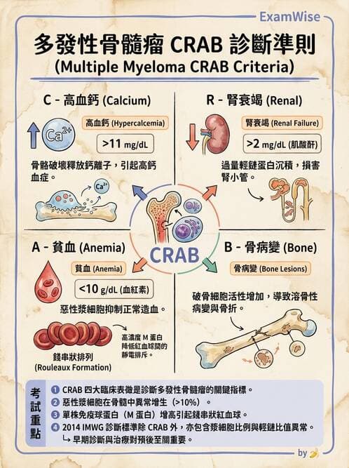 醫檢師 - 淋巴瘤、漿細胞疾病與白血球異常 - AI 圖文解析預覽