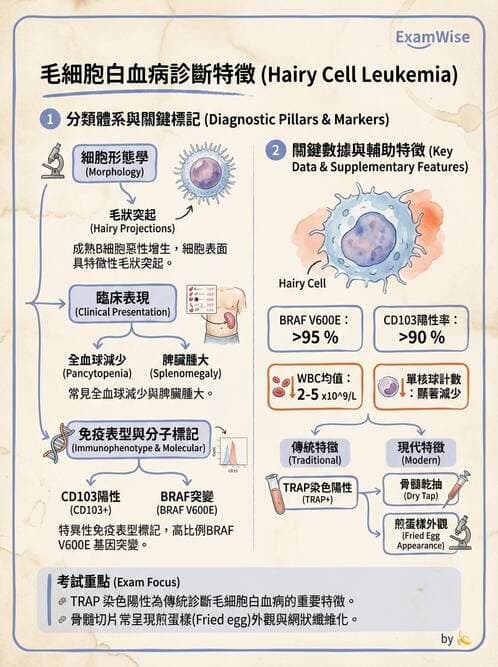 醫檢師 - 淋巴瘤、漿細胞疾病與白血球異常 - AI 圖文解析預覽