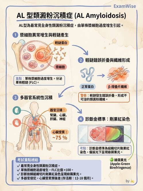 醫檢師 - 淋巴瘤、漿細胞疾病與白血球異常 - AI 圖文解析預覽
