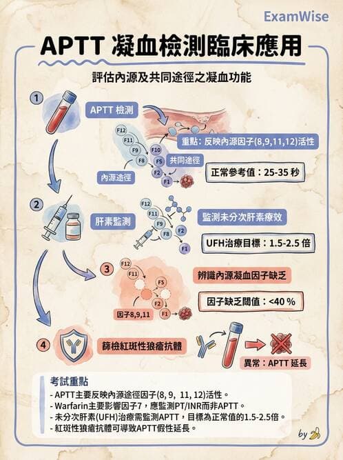 醫檢師 - 血栓性疾病與抗凝治療監測 - AI 圖文解析預覽