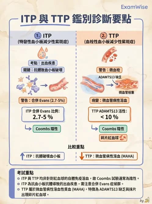 醫檢師 - 出血性疾病與檢驗 - AI 圖文解析預覽