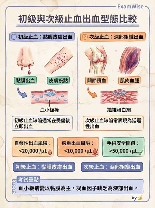醫檢師 - 出血性疾病與檢驗 - AI 圖文解析預覽