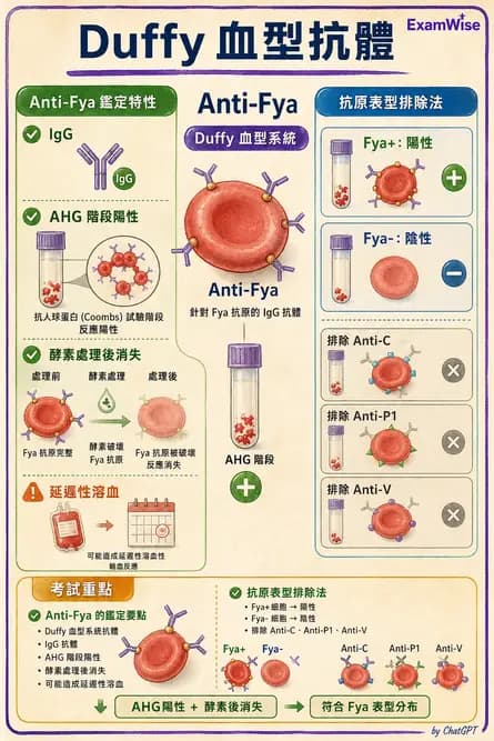 醫檢師 - 血液成分製備與輸血檢查 - AI 圖文解析預覽