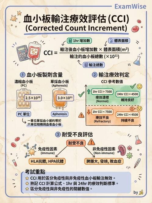 醫檢師 - 血液成分製備與輸血檢查 - AI 圖文解析預覽