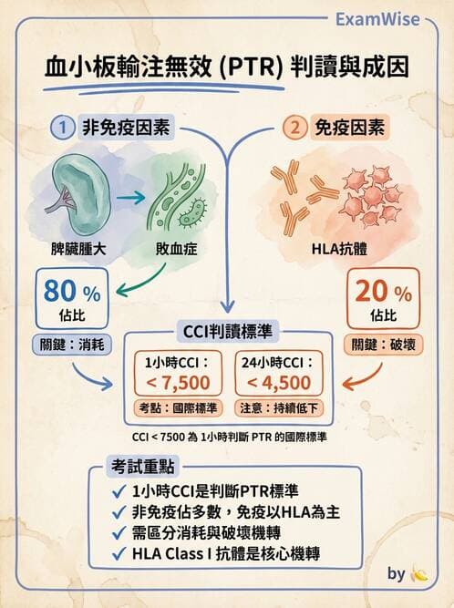 醫檢師 - 輸血反應與血庫品管 - AI 圖文解析預覽