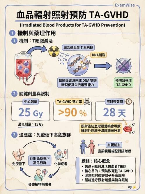 醫檢師 - 血液成分製備與輸血檢查 - AI 圖文解析預覽