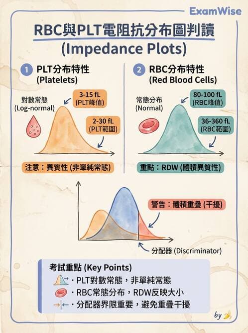 醫檢師 - 紅血球生理與形態 - AI 圖文解析預覽