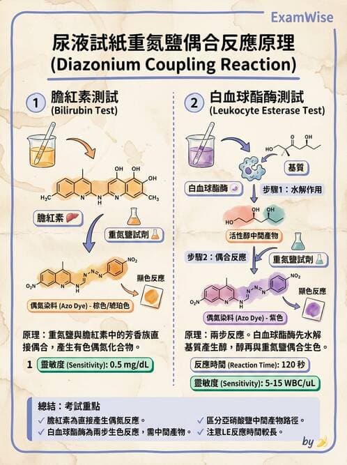 醫檢師 - 尿液化學檢驗 - AI 圖文解析預覽