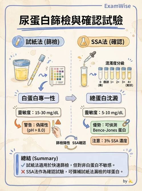 醫檢師 - 尿液化學檢驗 - AI 圖文解析預覽