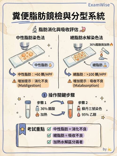 醫檢師 - 糞便常規檢查 - AI 圖文解析預覽