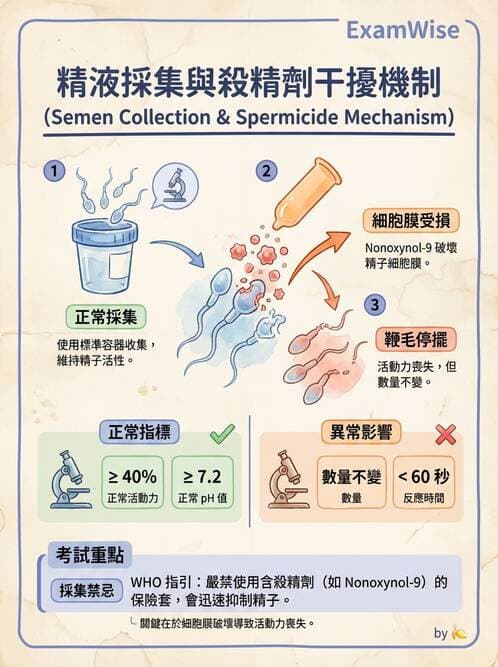 醫檢師 - 精液檢查 - AI 圖文解析預覽