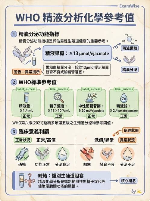 醫檢師 - 精液檢查 - AI 圖文解析預覽