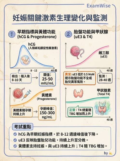 醫檢師 - 懷孕試驗 - AI 圖文解析預覽