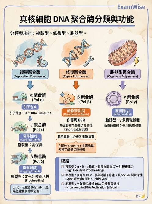 醫檢師 - 基礎分子生物學 - AI 圖文解析預覽