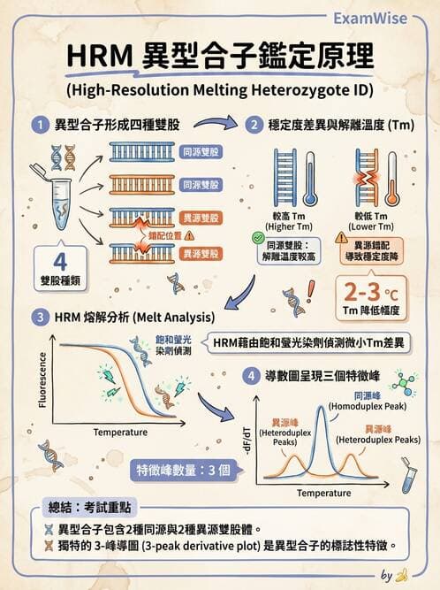 醫檢師 - 定序電泳與表觀分析 - AI 圖文解析預覽