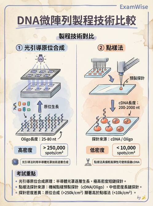 醫檢師 - 雜交探針與晶片技術 - AI 圖文解析預覽