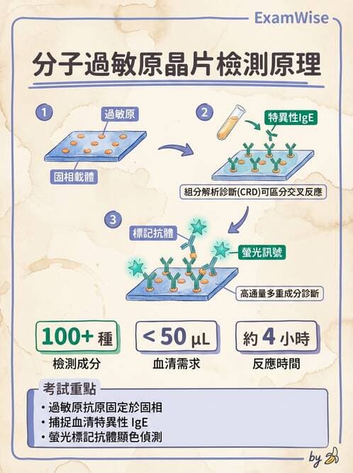 醫檢師 - 雜交探針與晶片技術 - AI 圖文解析預覽