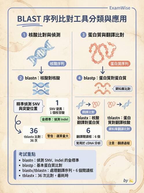 醫檢師 - 基礎分子生物學 - AI 圖文解析預覽