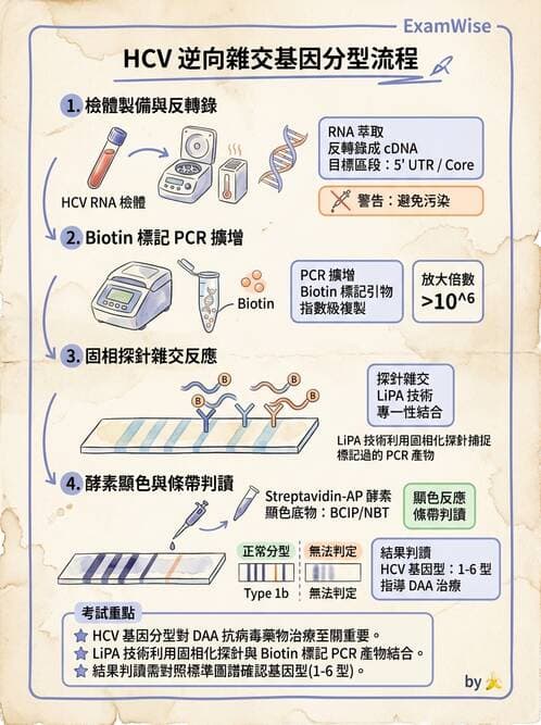 醫檢師 - 感染症分子檢驗 - AI 圖文解析預覽