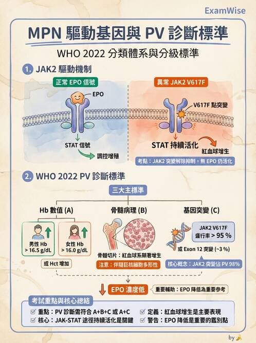 醫檢師 - 藥物相關基因檢測 - AI 圖文解析預覽