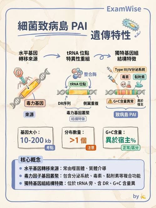 醫檢師 - 實驗室安全與微生物特性 - AI 圖文解析預覽