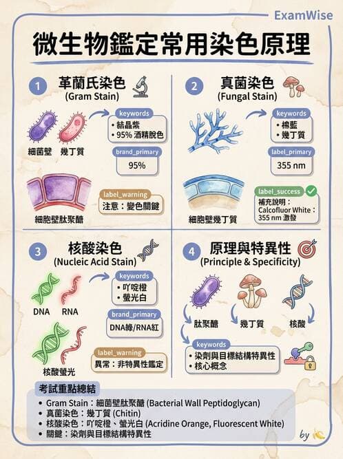 醫檢師 - 檢驗基礎技術 - AI 圖文解析預覽