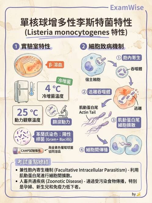 醫檢師 - 鏈球菌與其他革蘭氏陽性桿菌 - AI 圖文解析預覽