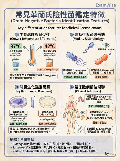 醫檢師 - 綜合性試題 - AI 圖文解析預覽
