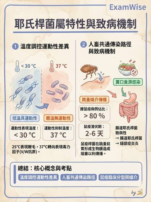 醫檢師 - 其他腸內菌科 - AI 圖文解析預覽