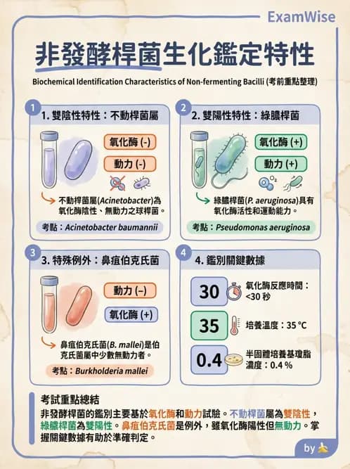 醫檢師 - 非發酵菌 - AI 圖文解析預覽