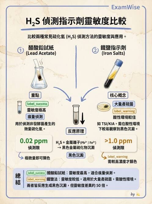 醫檢師 - 腸內菌鑑別方法與培養基 - AI 圖文解析預覽
