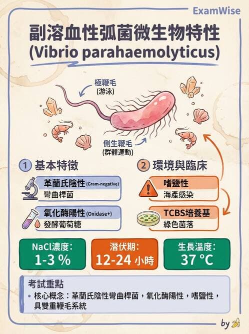 醫檢師 - 弧菌、氣單胞菌與彎曲菌 - AI 圖文解析預覽