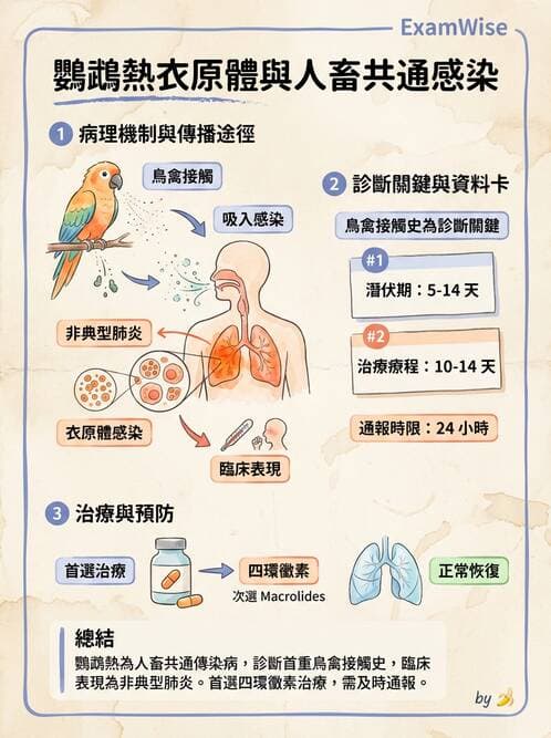醫檢師 - 特殊病原體 - AI 圖文解析預覽