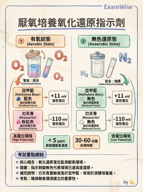 醫檢師 - 厭氧菌 - AI 圖文解析預覽