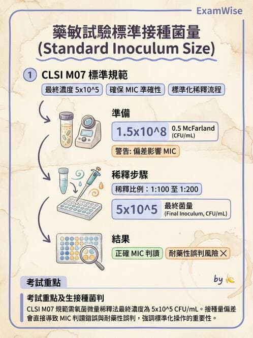 醫檢師 - 藥敏試驗方法 - AI 圖文解析預覽