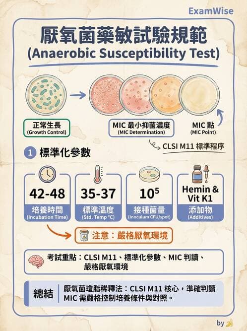 醫檢師 - 藥敏試驗方法 - AI 圖文解析預覽