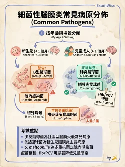醫檢師 - 感染症與院內感染 - AI 圖文解析預覽