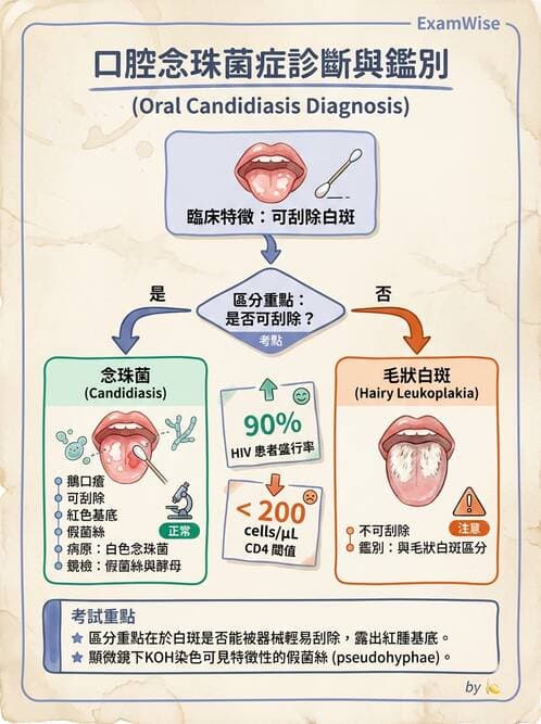 醫檢師 - 系統性與機會性真菌感染 - AI 圖文解析預覽