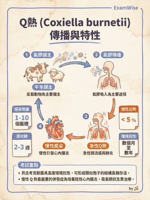 醫檢師 - 特殊病原體 - AI 圖文解析預覽