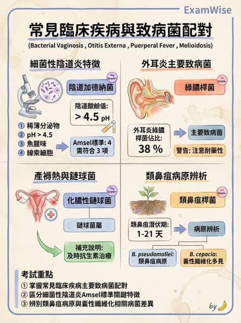醫檢師 - 綜合性試題 - AI 圖文解析預覽