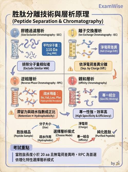 醫檢師 - 基本概念與儀器分析 - AI 圖文解析預覽